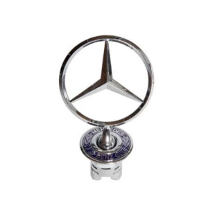 BLUE MERCEDES-BENZ BONNET STANDING BUDGES